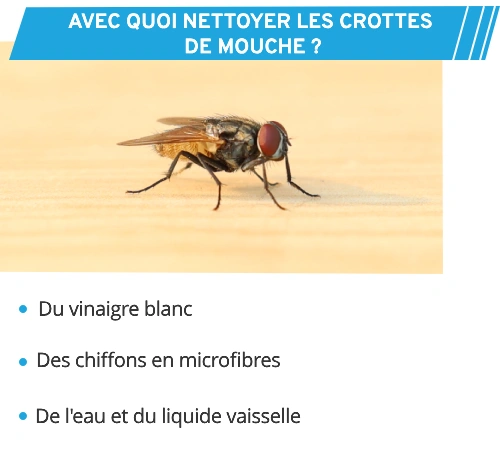 Conseils pour nettoyer des crottes de mouche