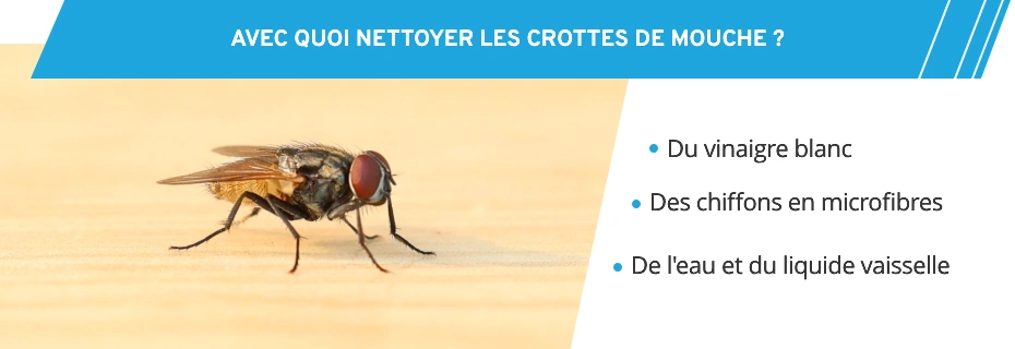 Conseils pour nettoyer des crottes de mouche